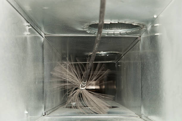 Best Dryer Vent Cleaning Services  in Waterville, OH